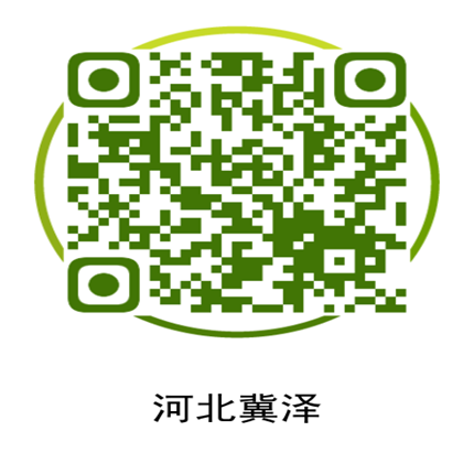 不朽情缘